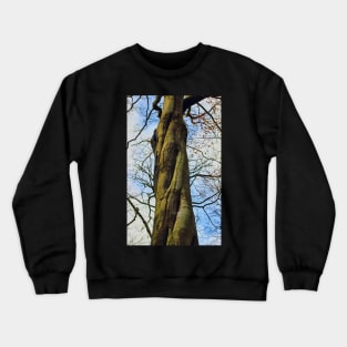 Twisted tree trunk Crewneck Sweatshirt